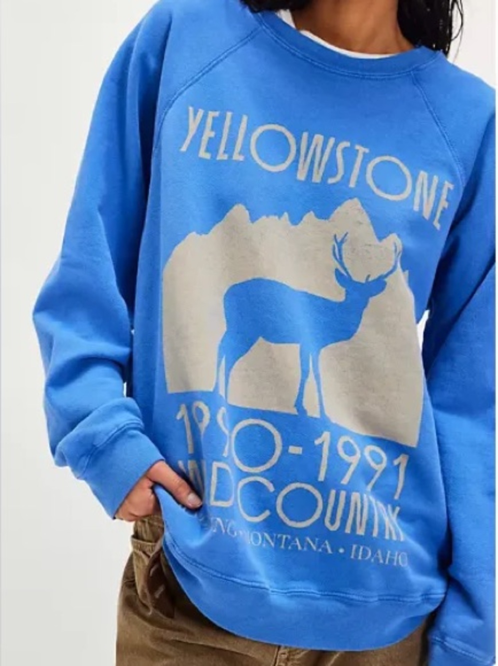🌸Free People X Retrobrand Graphic Great Escape Yellowstone Pullover Amparo Blue